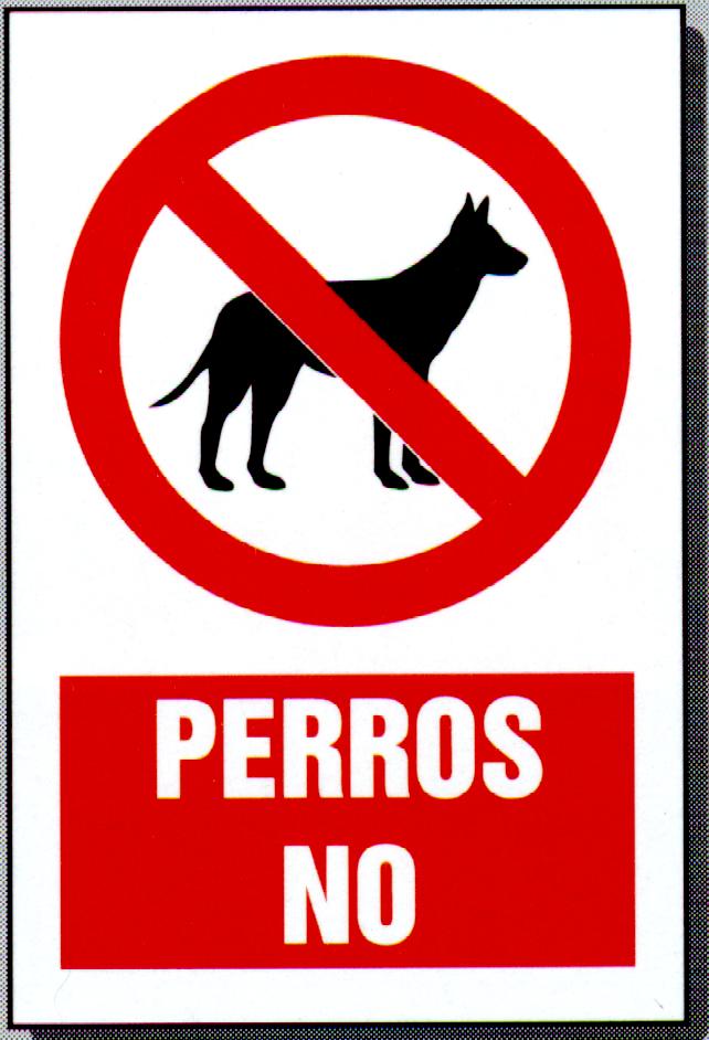 1 Perros no  IMAGENES FOTOS DIBUJOS